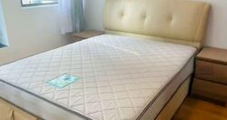 Soleil @ Sinaran (D11), Condominium #571809821